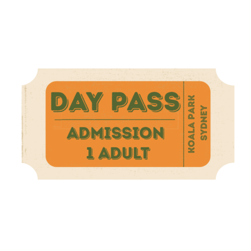 Koala Park Sanctuary - Adult Ticket